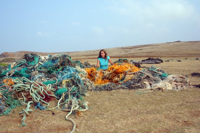 The Drifters Project Harnesses Community to Clean the Oceans and Visualize Global Plastic Pollution