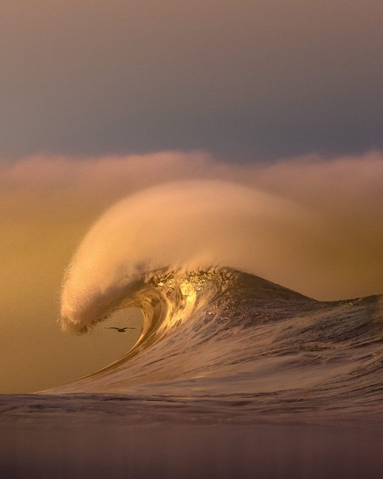Pacific Surf Takes Center Stage in Craig Hubbard’s Dreamy Photos
